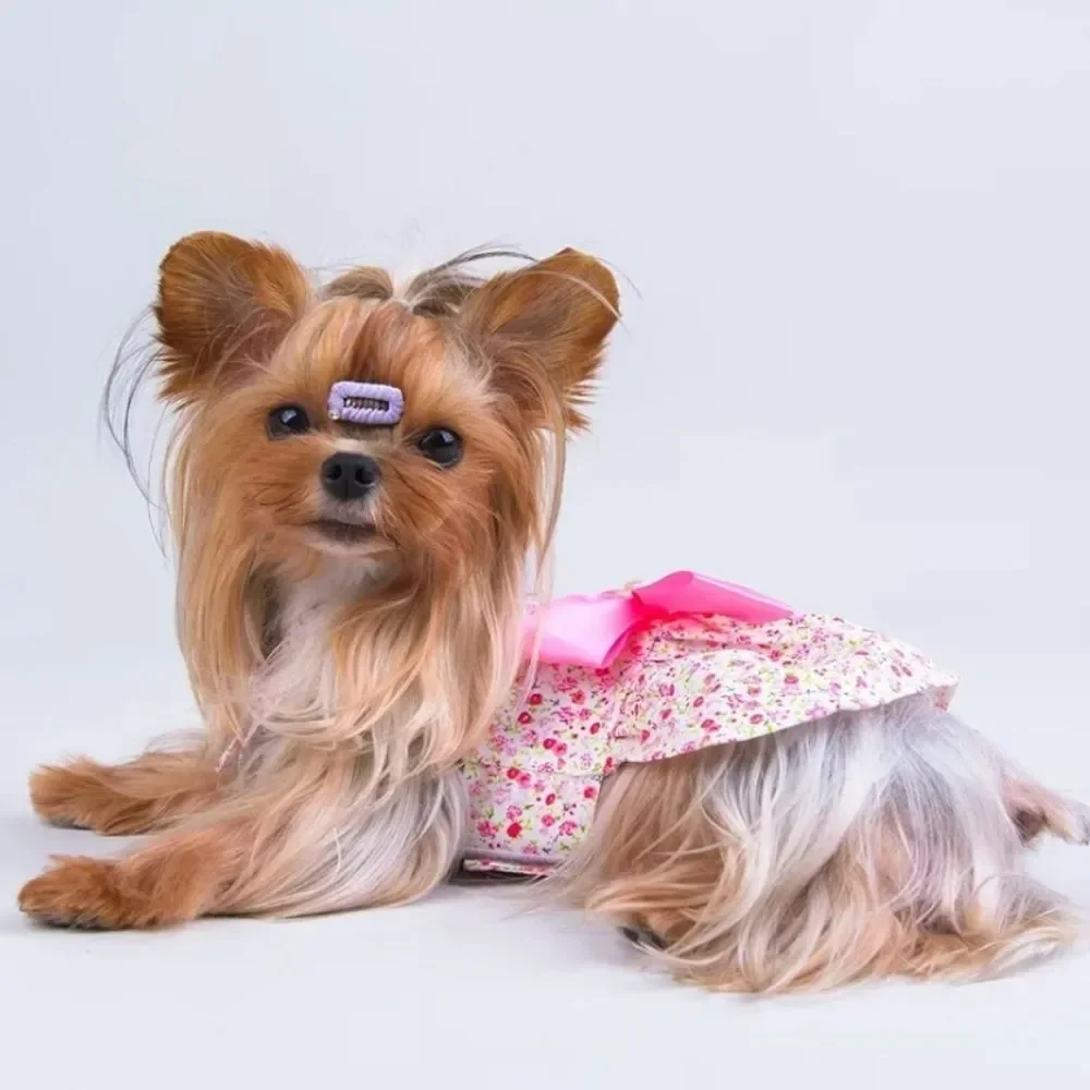 Xiharoom NWOT White Ditsy Floral Dog/Pet Dress with Pink Bow